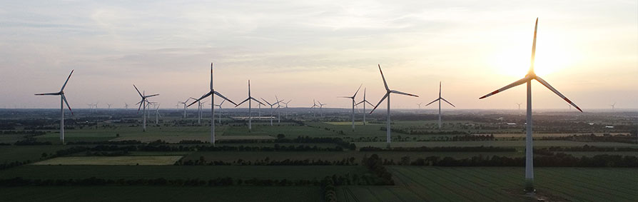 Ökostrom für Hörup, Nordhackstedt und Umgebung Ökostrom für Hörup, Nordhackstedt und Umgebung